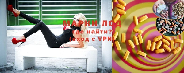 спайс Баксан