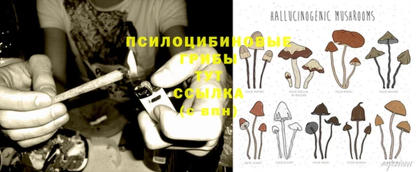 твердый Балахна