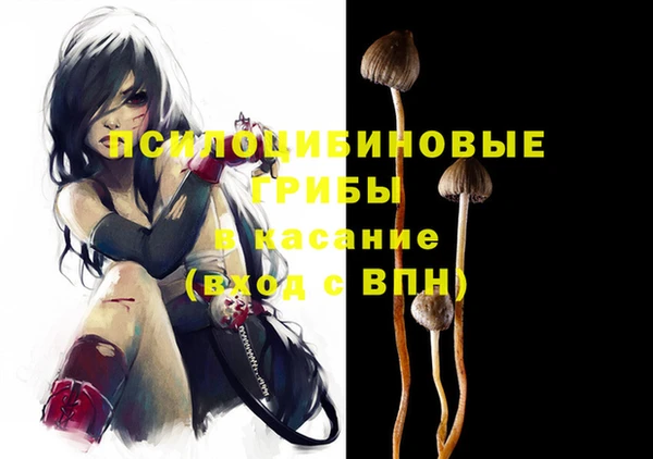 спайс Баксан