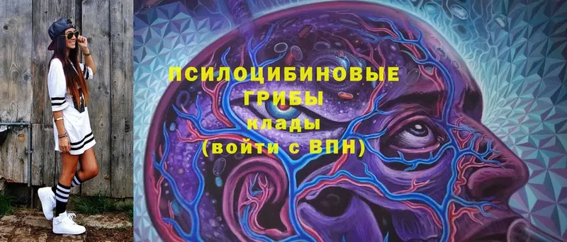 Галлюциногенные грибы Magic Shrooms  ОМГ ОМГ как войти  Горно-Алтайск 