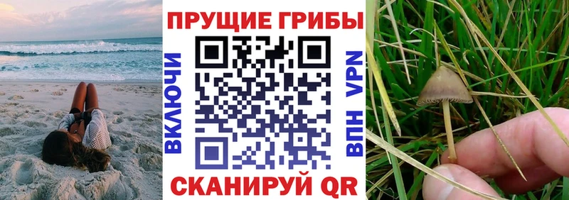 Галлюциногенные грибы мицелий  Горно-Алтайск 