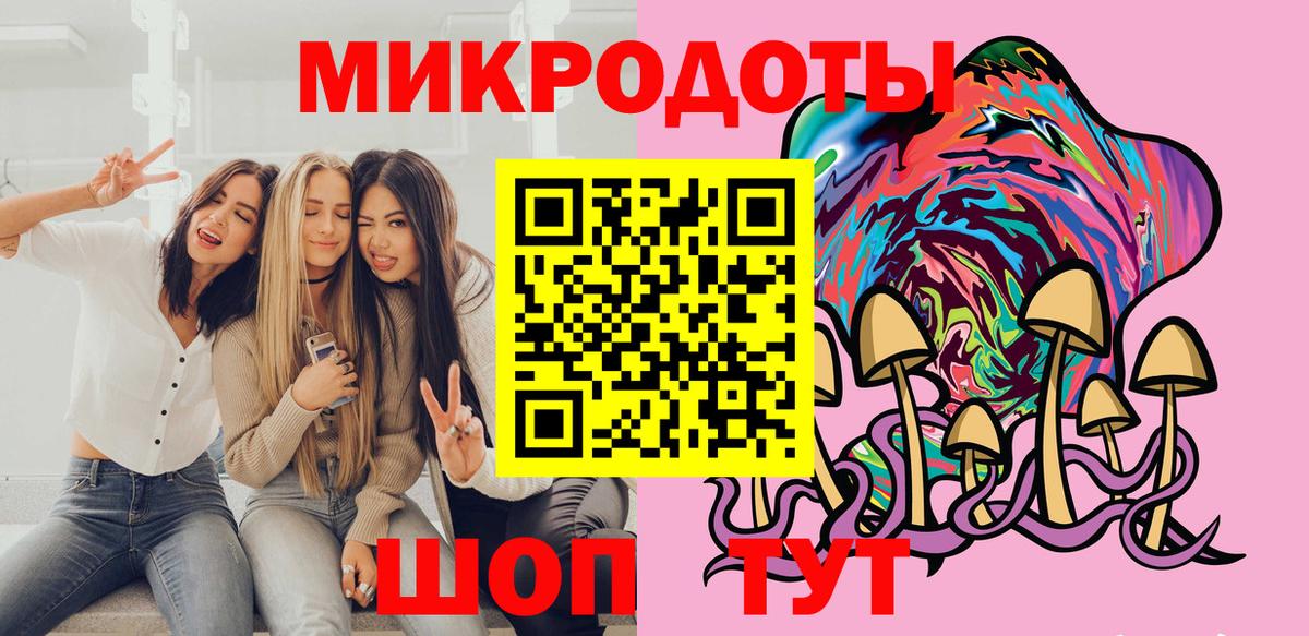 Галлюциногенные грибы Psilocybine cubensis  Горно-Алтайск 