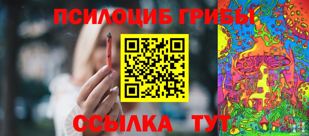 Псилоцибиновые грибы MAGIC MUSHROOMS Горно-Алтайск