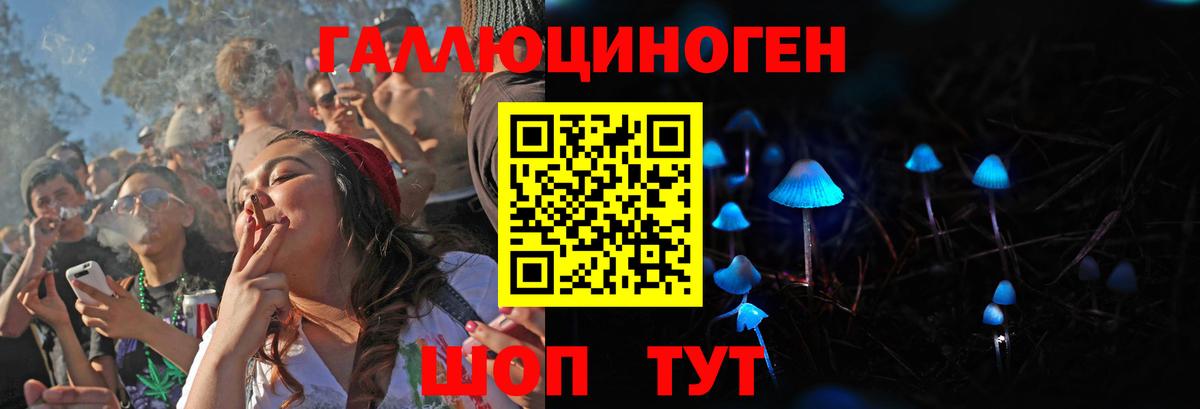 Горно-Алтайск  Псилоцибиновые грибы MAGIC MUSHROOMS  Псилоцибиновые грибы Psilocybe  Вход с VPN 